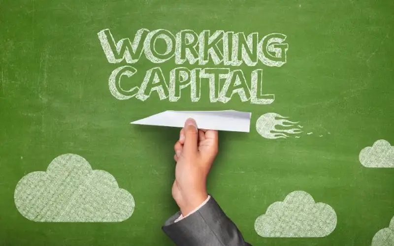 Working Capital Loans